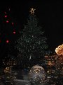 December2009 108